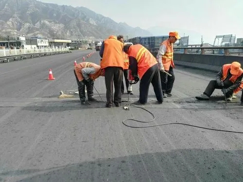 岚皋道路桥梁病害治理